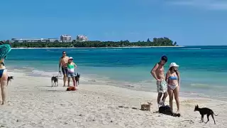 También se trabaja en las reglas que los propietarios estarán obligados a respetar