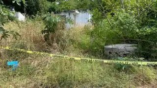 Los delincuentes robaron muebles, productos de cocina y cableado