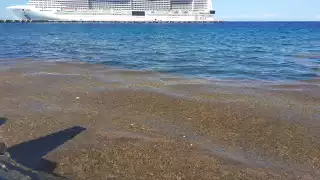 Autoridades de la Zona Federal, Marítima y Terrestre ( Zofemat) no han informado nada sobre las primeras acciones