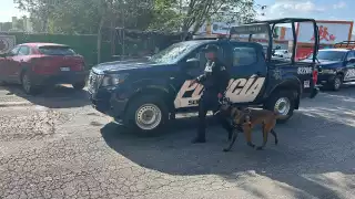 Policías de Playa del Carmen investigan si se trata de un conflicto entre narcomenudistas