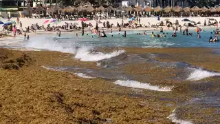 Playa Gaviotas, Cancún.