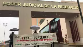 Entregarán las firmas en el Poder Judicial de la Federación
