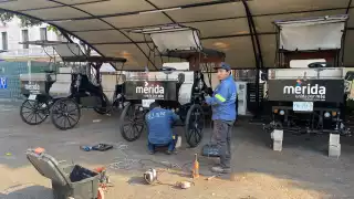 “De las seis calesas ya son varias las que no funcionan y necesitan refacciones”, expresó el consultor Alfonso González