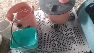 Día Mundial del Agua: Entre quejas ciudadanas y retos de infraestructura, es el panorama que vive Campeche