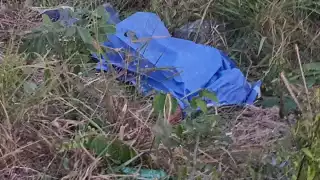 El conductor de la motocicleta murió en la zona del accidente, cerca del entronque para ir a la comunidad 'Álvaro Obregón Nuevo' al Sur de Quintana Roo