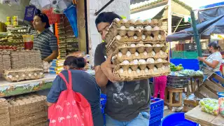 El líder de la asociación afirmó que el problema que afectó a los avicultores ya está superado; salubridad levantó la cuarentena