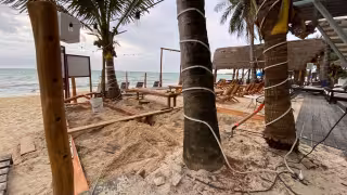 Hotel The Carmen invade playa pública y daña duna costera en Playa del Carmen