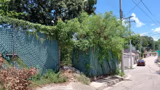 Serpientes y tarántulas salen de predio abandonado de la CFE en Hopelchén, denuncian vecinos