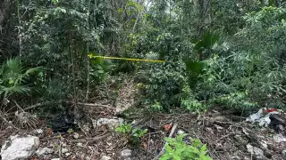 Activistas aseguran que el monte atrás del fraccionamiento Aloja de Cancún es usado como cementerio clandestino por los criminales