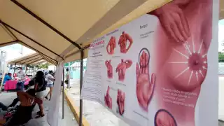 El COVID-19 causó que se suspendieran las donaciones para ONG’s, complicando su operatividad