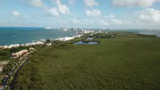 Yucatán es el que más tierras afectadas suma; Campeche posee mayor porcentaje de áreas vírgenes