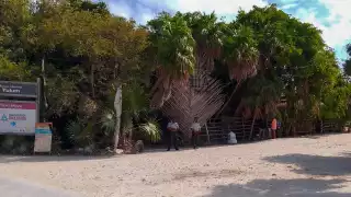 Punta Piedra en Tulum se nota descuidada con exceso de sargazo