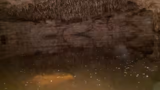 Caverna subterránea en el patio de un rancho, posible punto turístico de Cozumel