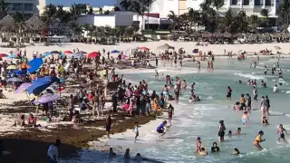Playa Delfines y otras playas de la Zona Hotelera de Cancún se ven afectadas por el sargazo