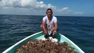 Más de mil buzos salieron a la pesca de langosta; lograron 100 kilos