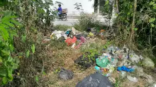 El Departamento de Ecología y Desarrollo Urbano del Ayuntamiento no ha ubicado al dueño del terreno