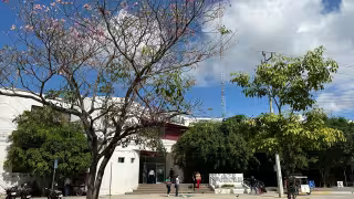 Tragedia en Candelaria: Hombre con depresión fallece en hospital tras ingerir herbicida