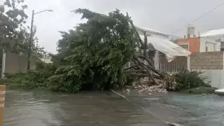 Serán cincoi municipios de Quintana Roo los que se verán afectados por los vientos y lluvias del Huracán Ian