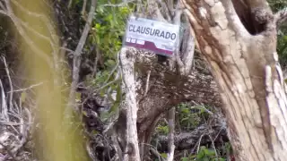 Los ambientalistas en Cozumel consideraron que realizar la 'clausura' de este parque a dos días de las elecciones, es una burla para los vecinos de la zona