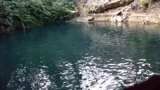 Funcionó hasta el 16 de julio del 2020, pero únicamente el área de restaurante durante 2 meses