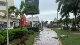 La zona de antros opera de forma normal pero los turistas no se han animado a salir