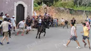 Los animales bravos pasaban a cornear a los aficionados taurinos