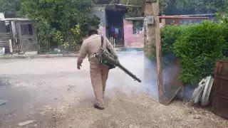 Emiten alerta por incremento de dengue en Ciudad del Carmen   