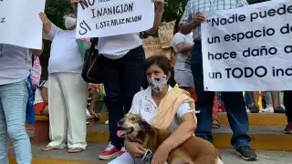 ctivistas y líderes de agrupaciones civiles se están manifestando afuera del Ayuntamiento de Mérida
