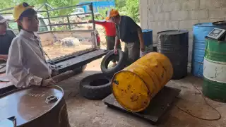 Crisis apícola en Tenabo: Apicultores al borde del colapso por caída del precio de la miel  