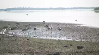 Al pasar de los años, las personas comenzaron a dedicarse a la pesca y fueron abandonando la extracción de sal, una de las actividades más fuertes del lugar