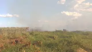 El incendio consumió varios campos de maiz y terrenos