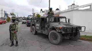 Se presume que el cultivo lo realiza un grupo criminal que opera en esa zona de Cancún