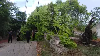 La turbonada duró cerca de media hora lo que bastó para ocasionar cuantiosos daños materiales y perjuicios a la sociedad de Buctzotz. 