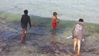 La pesca con Arpón es una actividad prohibida desde hace muchos años por las Normas Oficiales Mexicanas