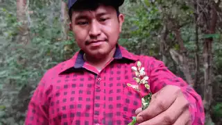 Varios productores de Tahdziú indicaron que tienen que rentar algunos artículos de apicultura para la cosecha