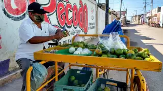 Actualmente el fruto se cotiza a ocho pesos el kilo
