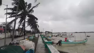 Fuertes vientos del frente frío número 24 causan apagones y caída de árboles en Sabancuy
