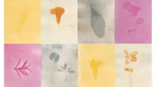 La antotipia se basa en material fotosensible vegetal para revelarse