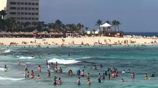 Las playas de Cancún padecen el arribo de toneladas de sargazo