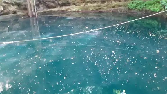 El requisito a los duños de cenotes es que de encontrar reliquias mayas, deberán ser entregadas al INAH El requisito a los duños de cenotes es que de encontrar reliquias mayas, deberán ser entregadas al INAH