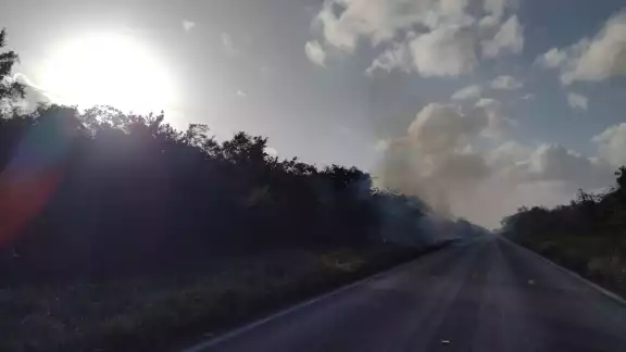 Se desconocen las causas del incendio Se desconocen las causas del incendio
