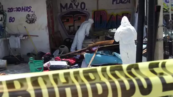 Personal de Servicios Periciales confirmaron el hallazgo de dos cráneos en la Supermanzana 74 de Cancún Personal de Servicios Periciales confirmaron el hallazgo de dos cráneos en la Supermanzana 74 de Cancún