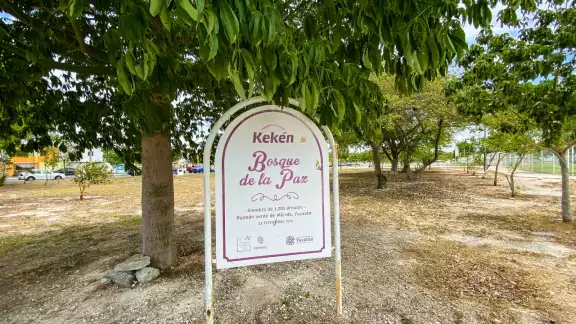 El “Bosque de la Paz”, que fue anunciado por el Ayuntamiento de Mérida y Kekén, actualmente está desierto El “Bosque de la Paz”, que fue anunciado por el Ayuntamiento de Mérida y Kekén, actualmente está desierto