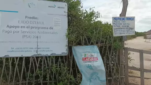 Habitantes exigen al alcalde José Wilberto Flota Aké que “liberen el lugar” para que puedan seguir extrayendo sal Habitantes exigen al alcalde José Wilberto Flota Aké que “liberen el lugar” para que puedan seguir extrayendo sal
