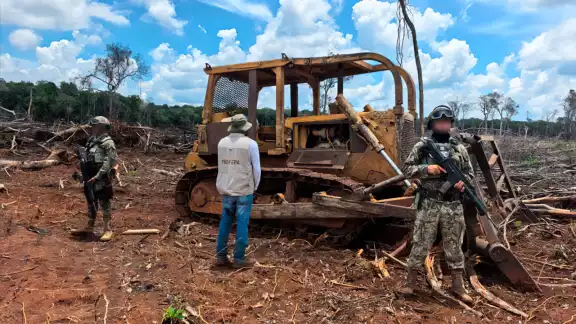 Alcalde exige sanciones reales por pérdida acelerada de selva en Hopelchén Alcalde exige sanciones reales por pérdida acelerada de selva en Hopelchén