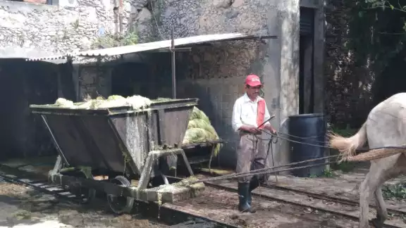 Piden que el Gobierno del Estado invierta para que la actividad resurja