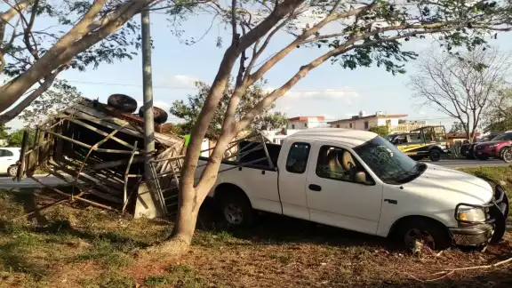 Elementos de la SSP auxiliaron al conductor para buscar el ganado que salió huyendo Elementos de la SSP auxiliaron al conductor para buscar el ganado que salió huyendo