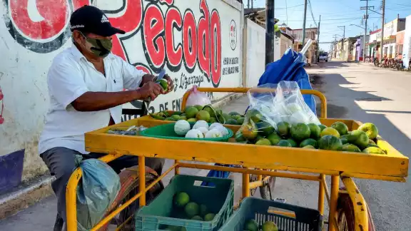 Actualmente el fruto se cotiza a ocho pesos el kilo Actualmente el fruto se cotiza a ocho pesos el kilo