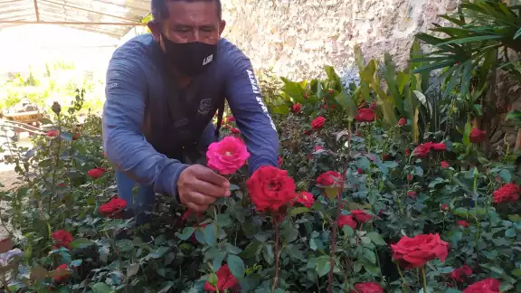 Esperan tener buenas ventas durante el Día de las Madres Esperan tener buenas ventas durante el Día de las Madres