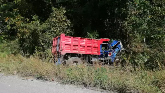 El camión se salió de la carretera y chocó contra un árbol cuando iba con destino a Escárcega El camión se salió de la carretera y chocó contra un árbol cuando iba con destino a Escárcega